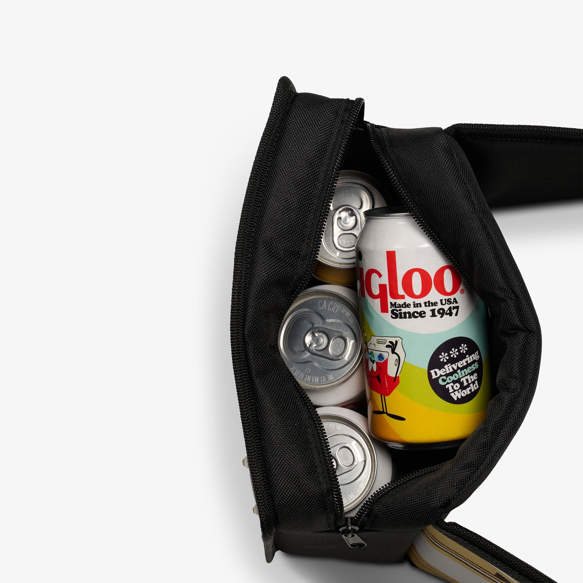 NFL WWE Cooler Fanny Pack