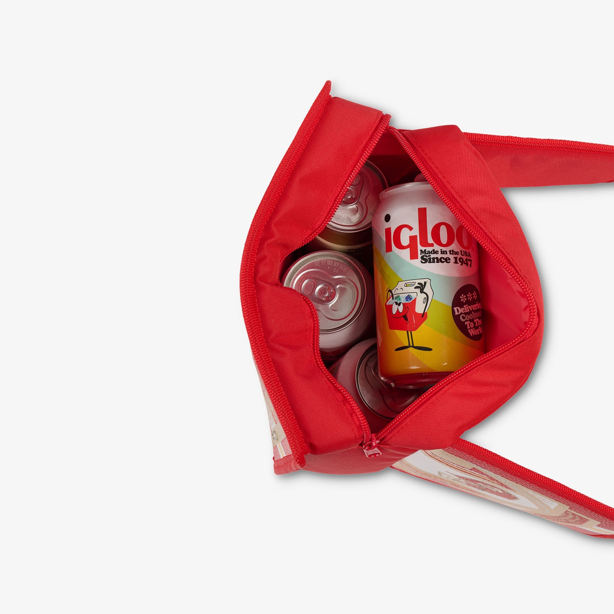 NFL WWE Cooler Fanny Pack