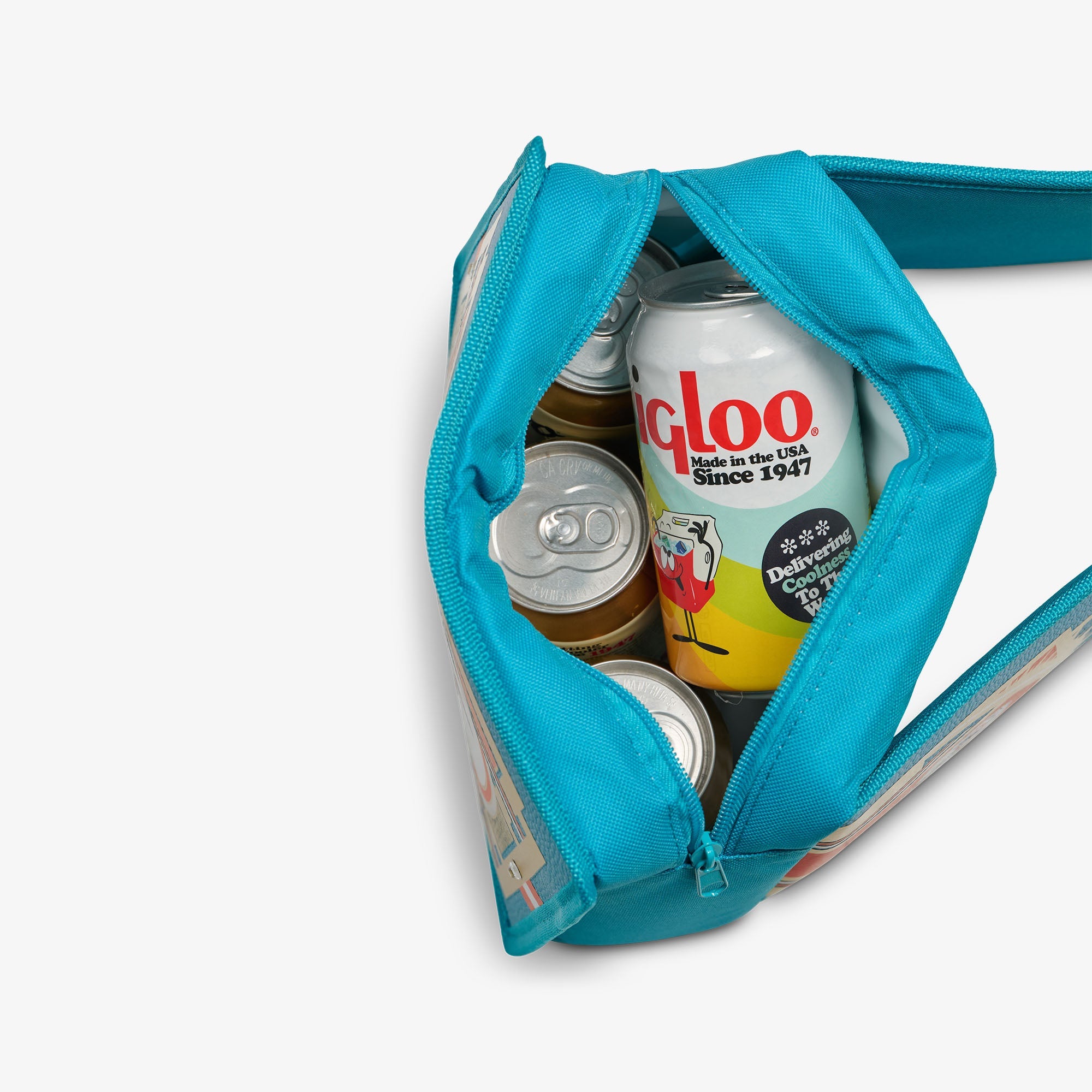 NFL WWE Cooler Fanny Pack