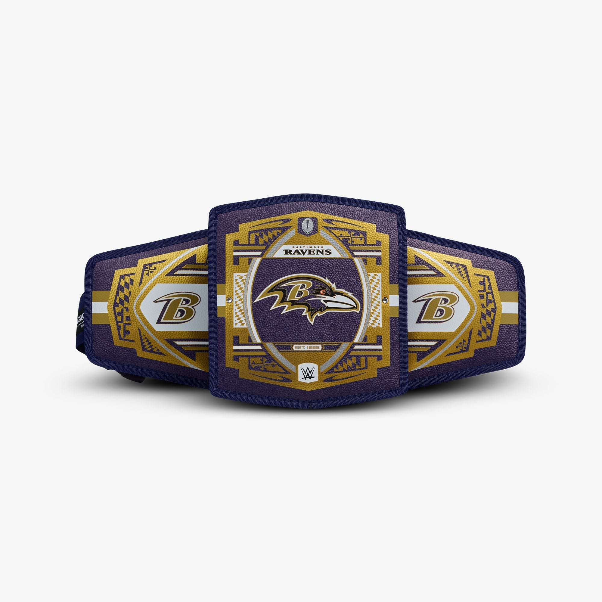 NFL WWE Cooler Fanny Pack