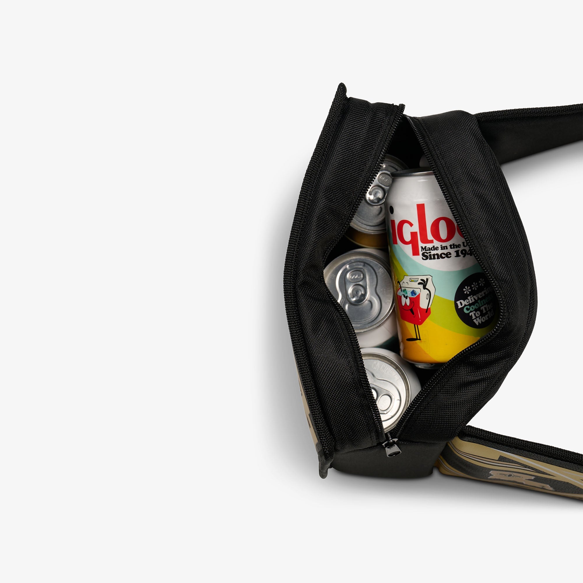 NFL WWE Cooler Fanny Pack