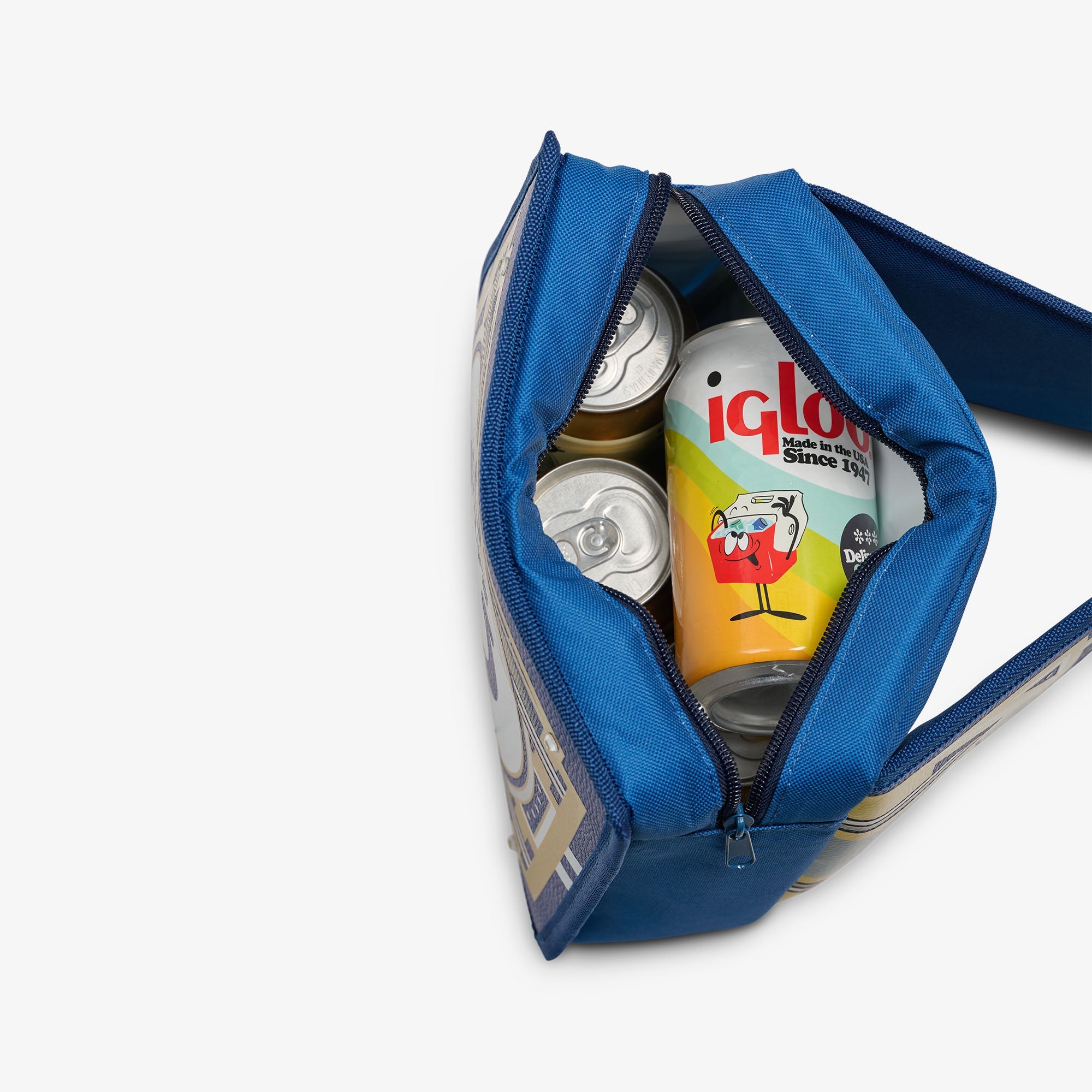 NFL WWE Cooler Fanny Pack